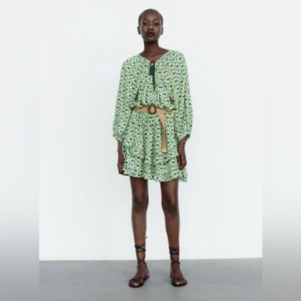 Zara Ruffle Dress - Picture 1 of 4